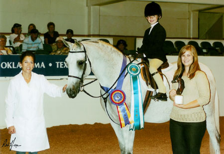 Austin Texas horse riding lessons